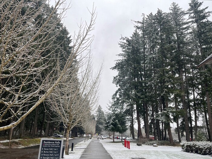 校園雪景。